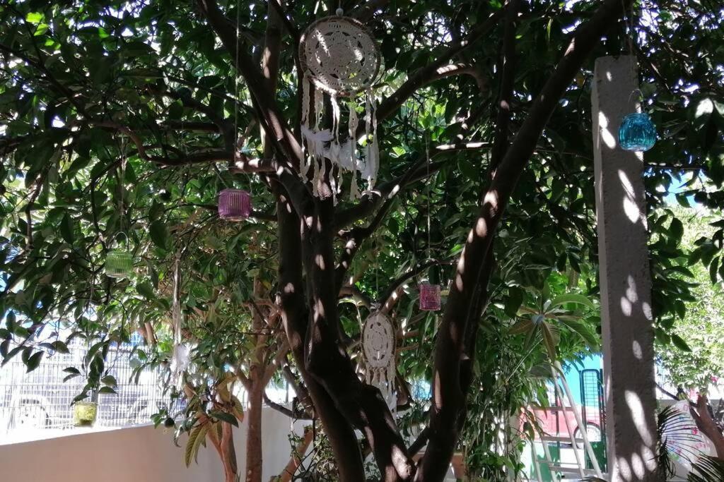 Ferienwohnung Beautiful House With Garden Nea Alikarnassos Exterior foto