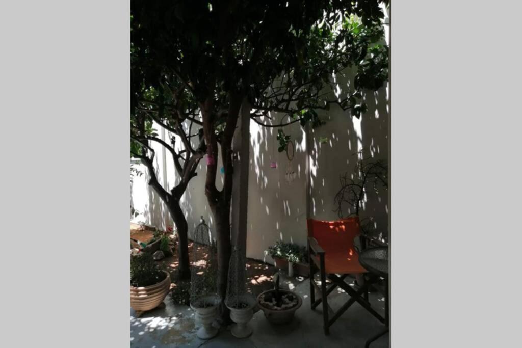 Ferienwohnung Beautiful House With Garden Nea Alikarnassos Exterior foto
