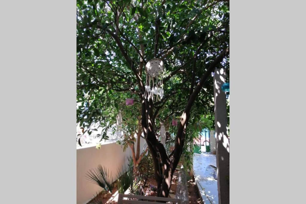 Ferienwohnung Beautiful House With Garden Nea Alikarnassos Exterior foto