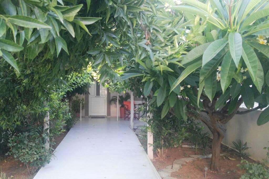 Ferienwohnung Beautiful House With Garden Nea Alikarnassos Exterior foto